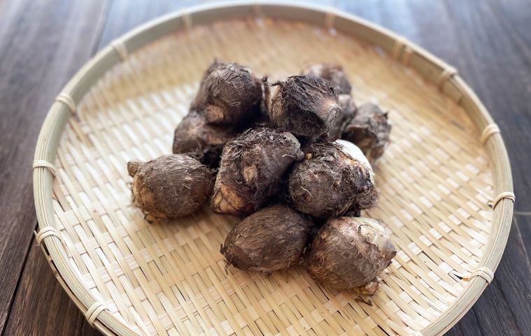 ざるにたくさんの里芋をのせた写真