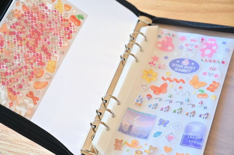 シールを貼ったリフィルとあまったシールをファイルに収納している