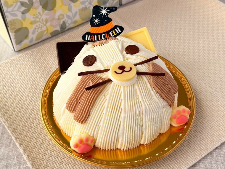 ハロウィン 魔女ネコちゃんのデコレーション16cmがテーブルの上に置かれている様子