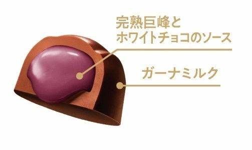 5. プレミアムガーナ フルーツショコラ完熟巨峰2