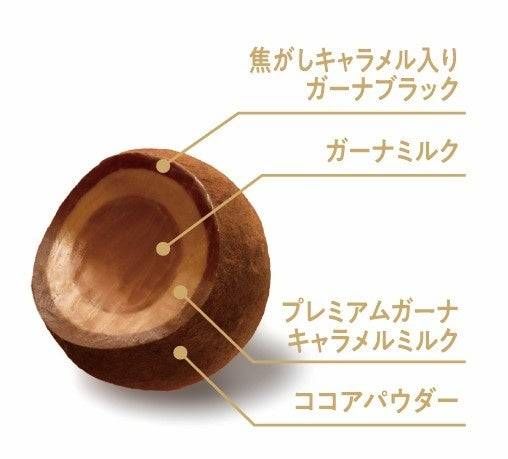 3. プレミアムガーナ トリュフキャラメルマリアージュ2