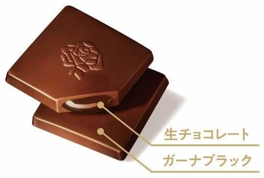 2. プレミアムガーナ 濃厚生チョコレート芳醇カカオ2