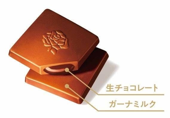 1. プレミアムガーナ 濃厚生チョコレート芳醇ミルク2