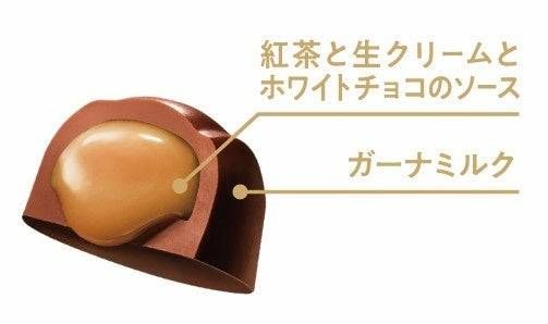 4. プレミアムガーナ クレームショコラロイヤルミルクティー2