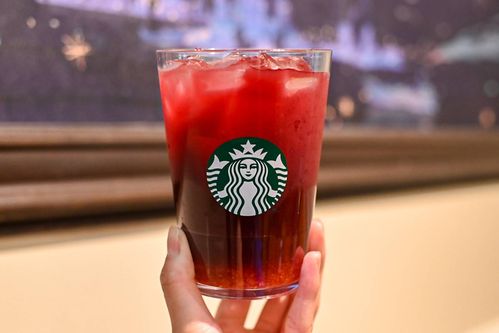 スタバ新作アサイーベリーゆずシトラスティーのおすすめカスタム。ハロウィン仕様に変身