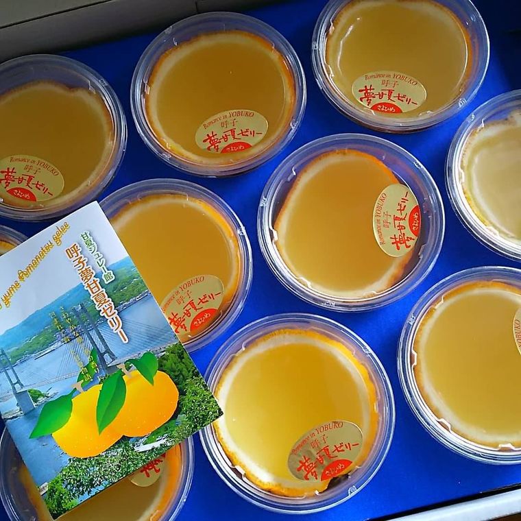 呼子夢甘夏ゼリーの詰めあわせ