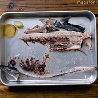 作り方 さんまパスタ