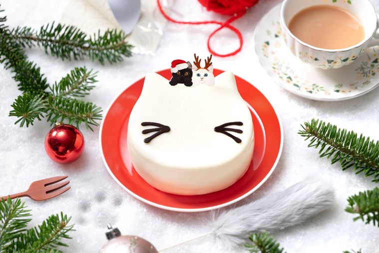 白ねこクリスマスケーキホワイトチョコベリー