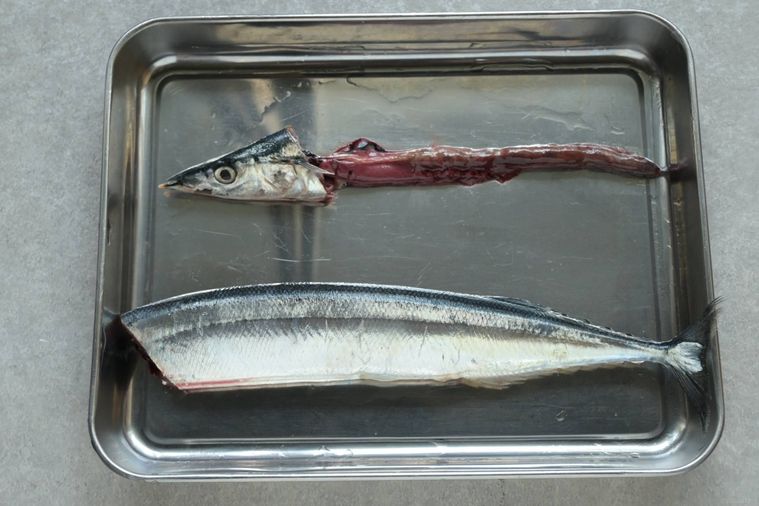 さんまの頭と内臓を身から外した様子