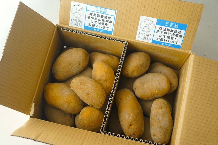 2種のじゃがいも