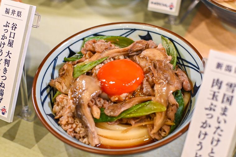 うどんのアップ