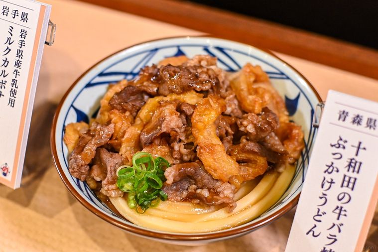 うどんのアップ