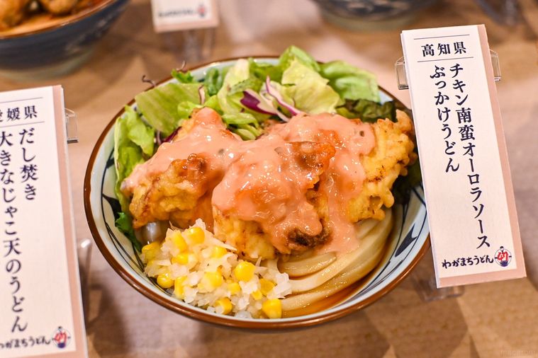 うどんのアップ