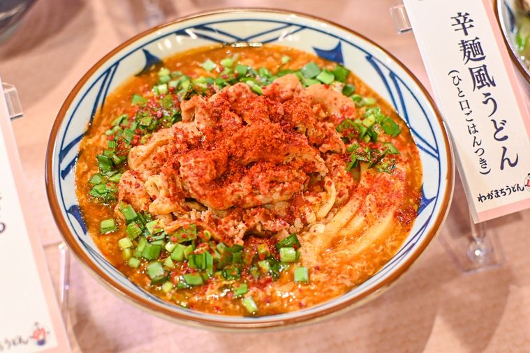 うどんのアップ