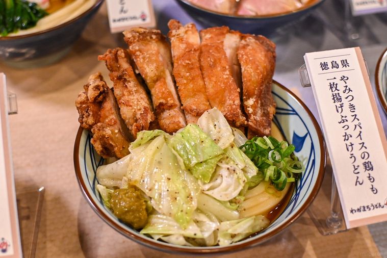 うどんのアップ