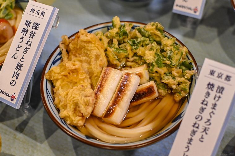 うどんのアップ