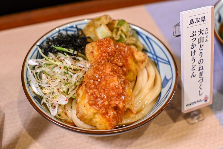 うどんのアップ