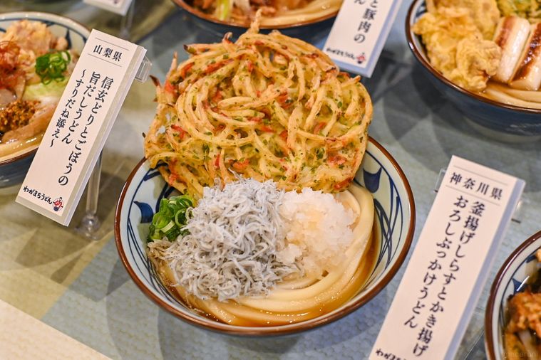 うどんのアップ