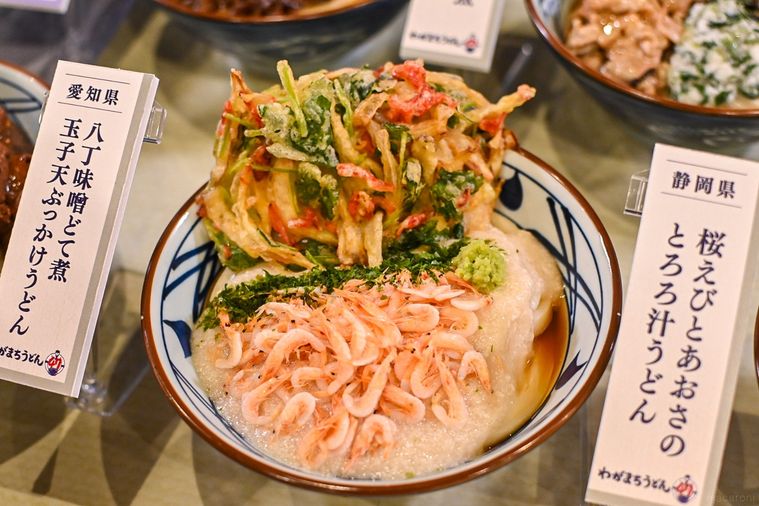 うどんのアップ