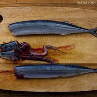 作り方 さんまの生姜煮