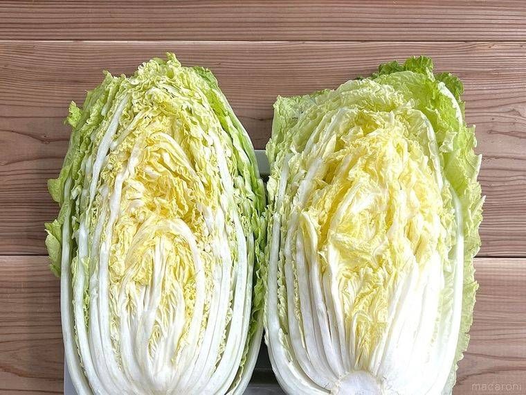 半分にカットされた白菜2つ