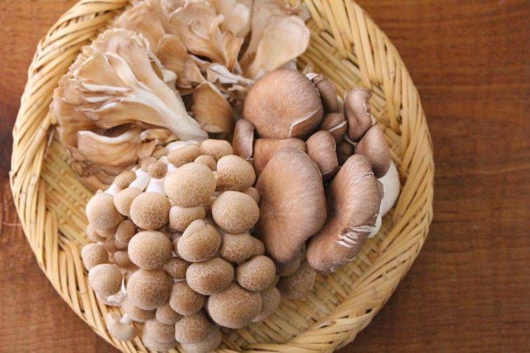 かごに盛られたしめじやまいたけなどのきのこ類