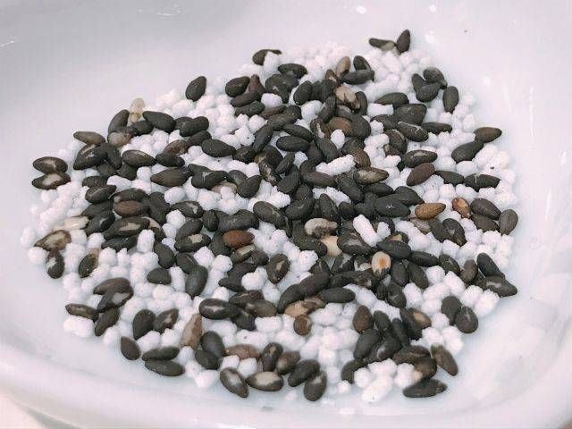 器に盛られたごま塩