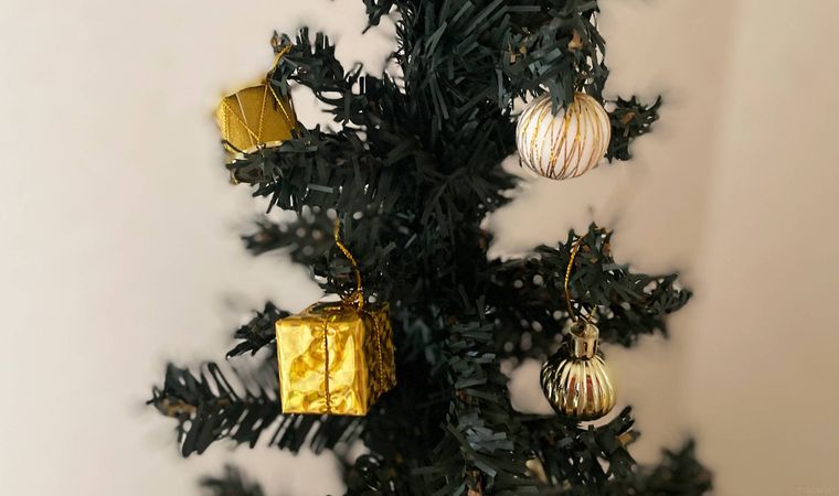 キャンドゥのオーナメントを飾ったツリー