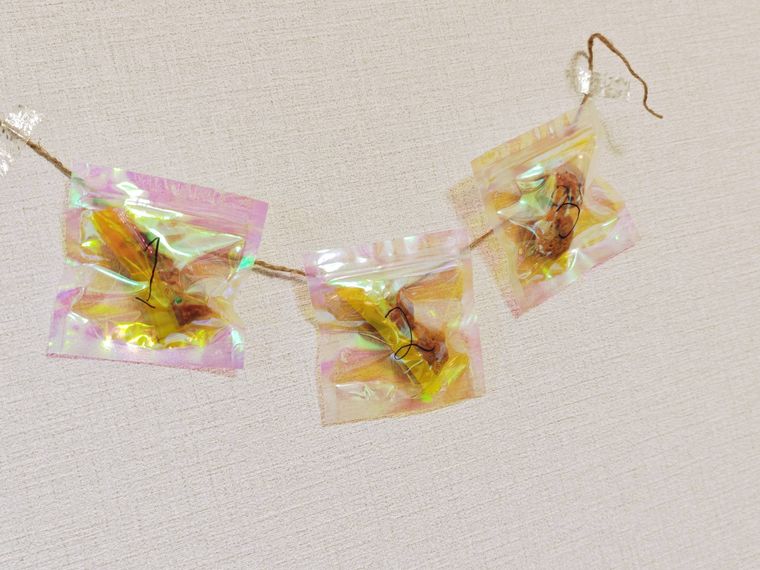 フリーザーバッグを使ったアドベントカレンダー