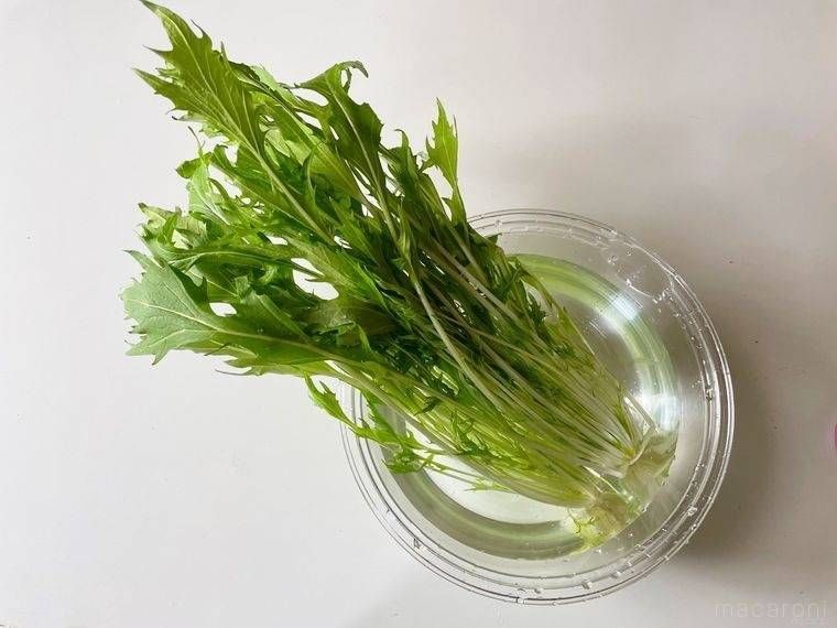 水に浸した水菜