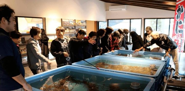 カニマルシェプランとは