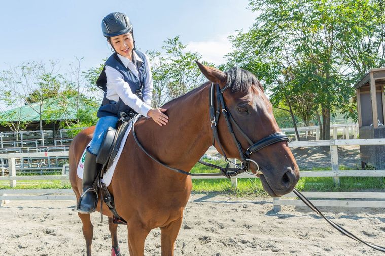 東武乗馬クラブクレイン乗馬体験記念撮影福袋池袋本店・船橋店