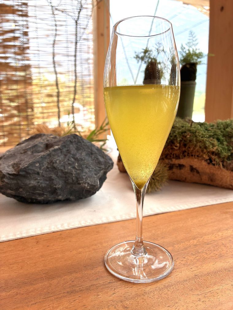 コンブチャのティードリンク