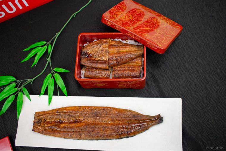 黒いテーブルの上に並んだうな重と1尾の鰻