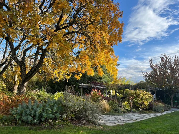 ボタニカルガーデン