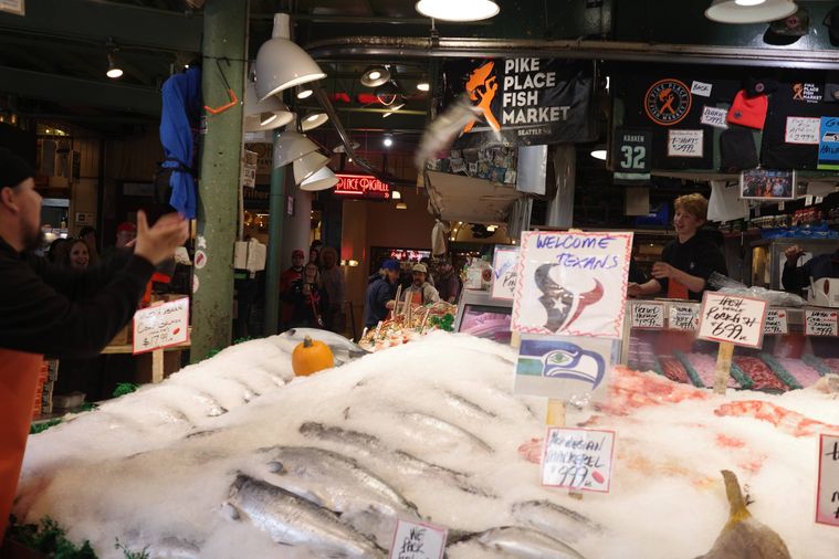 魚を投げている