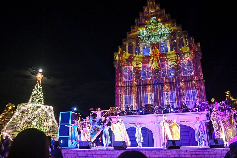 ナイトショーのようす