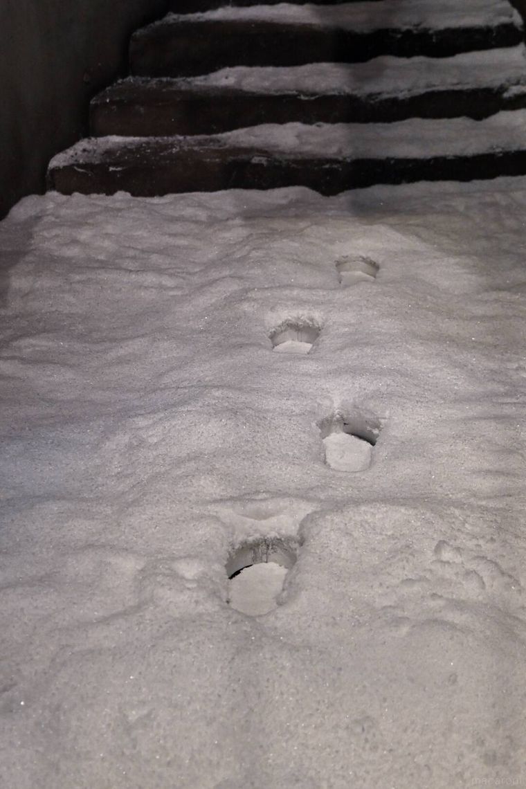 雪の中の足跡