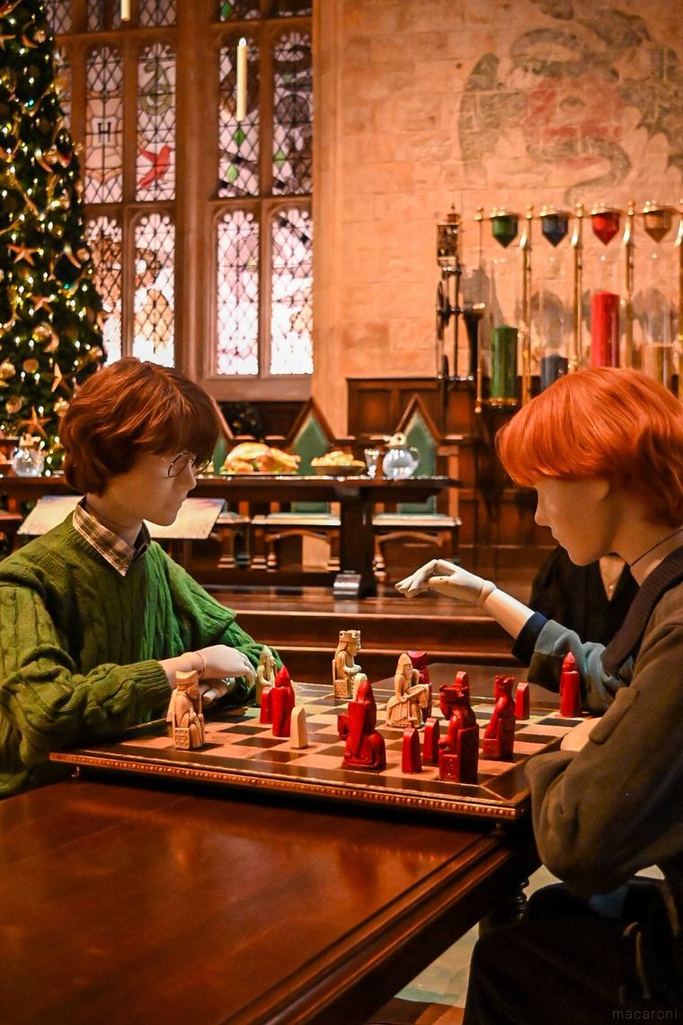 チェスをしているところ