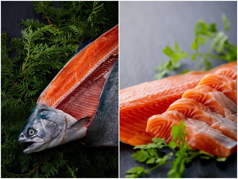 鮮度抜群のみやぎサーモン