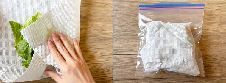 ちぎったレタスをキッチンペーパーで包み保存袋に入れた様子