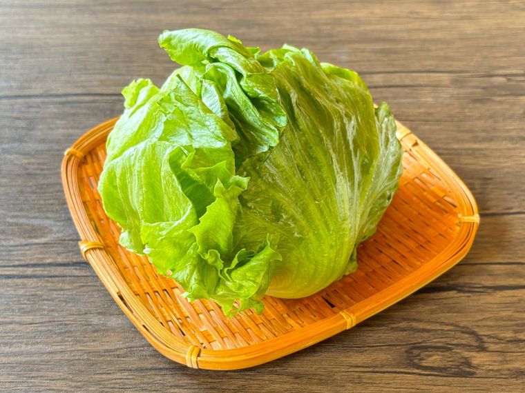 ザルに盛られたレタス