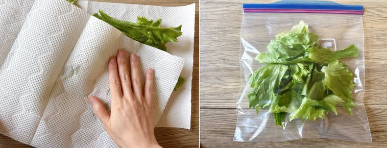 ちぎったレタスの水気を拭き、フリーザーバッグに入れた様子