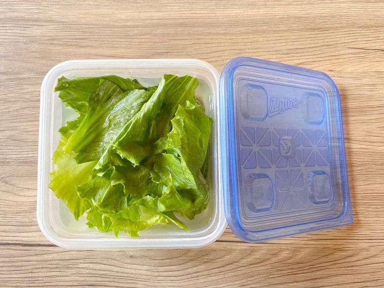 保存容器に入ったレタス、水