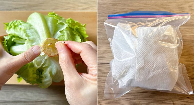 芯に爪楊枝を刺しキッチンペーパーで包んでから保存袋に入れた様子