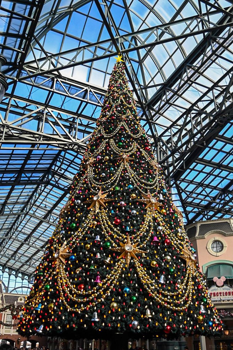 クリスマスツリーのアップ