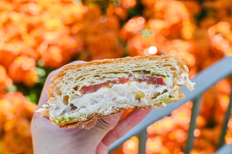 サンドイッチの断面