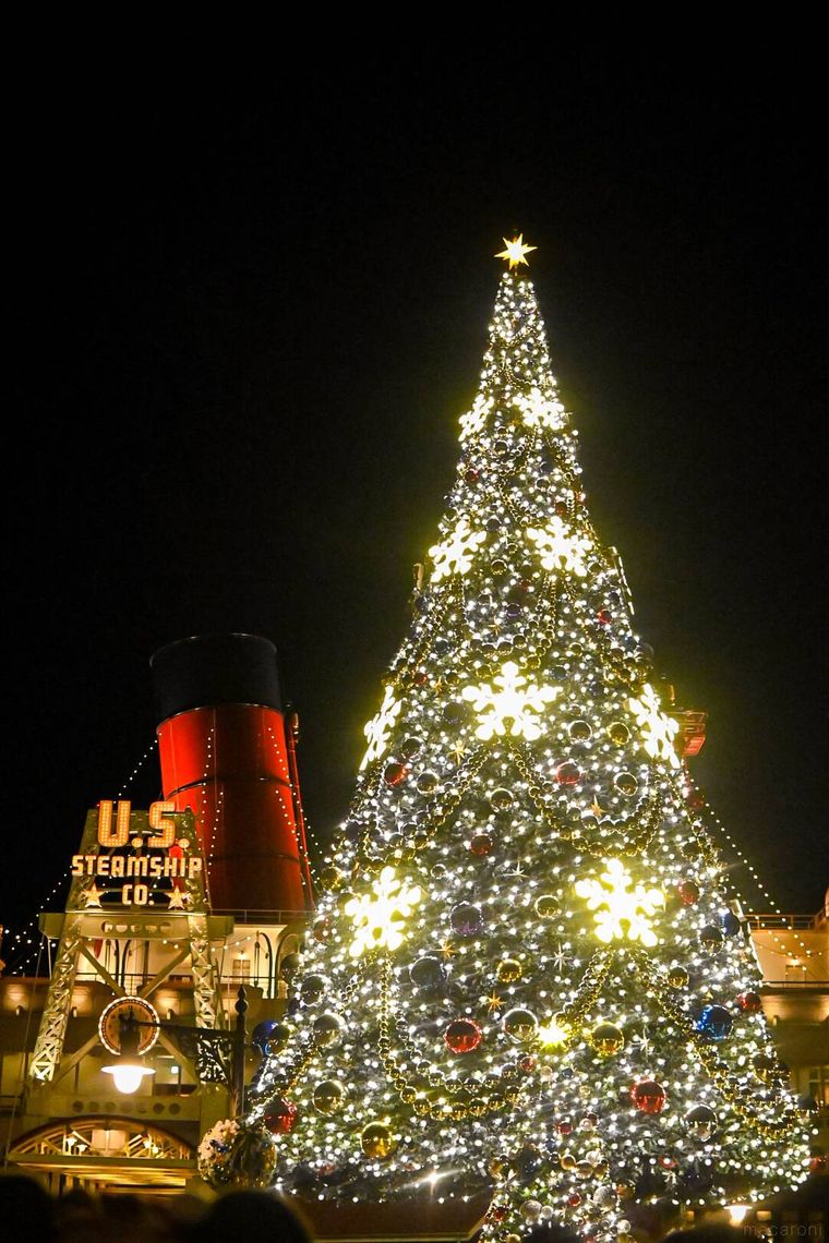 クリスマスツリー