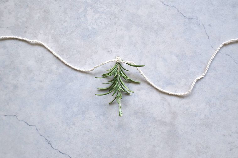 葉先の葉を摘み取ったローズマリーの枝元にタコ糸を巻き付けている