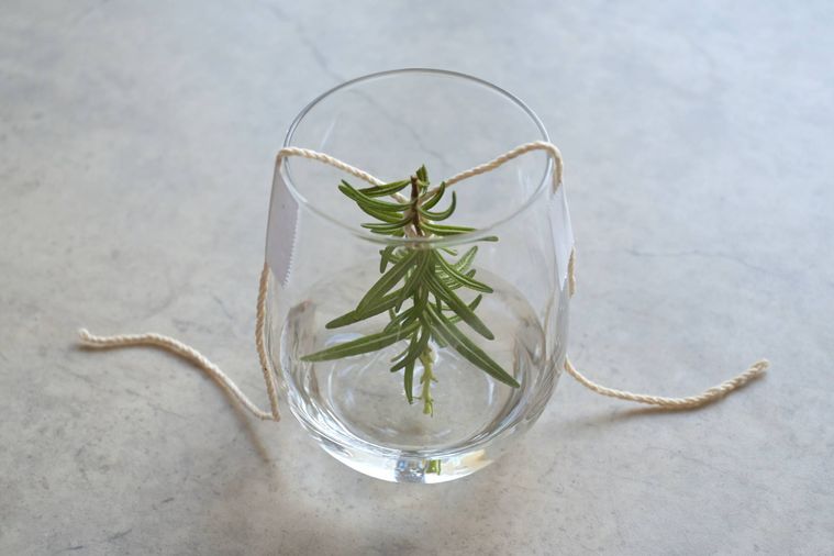 グラスにローズマリーをタコ糸で固定している